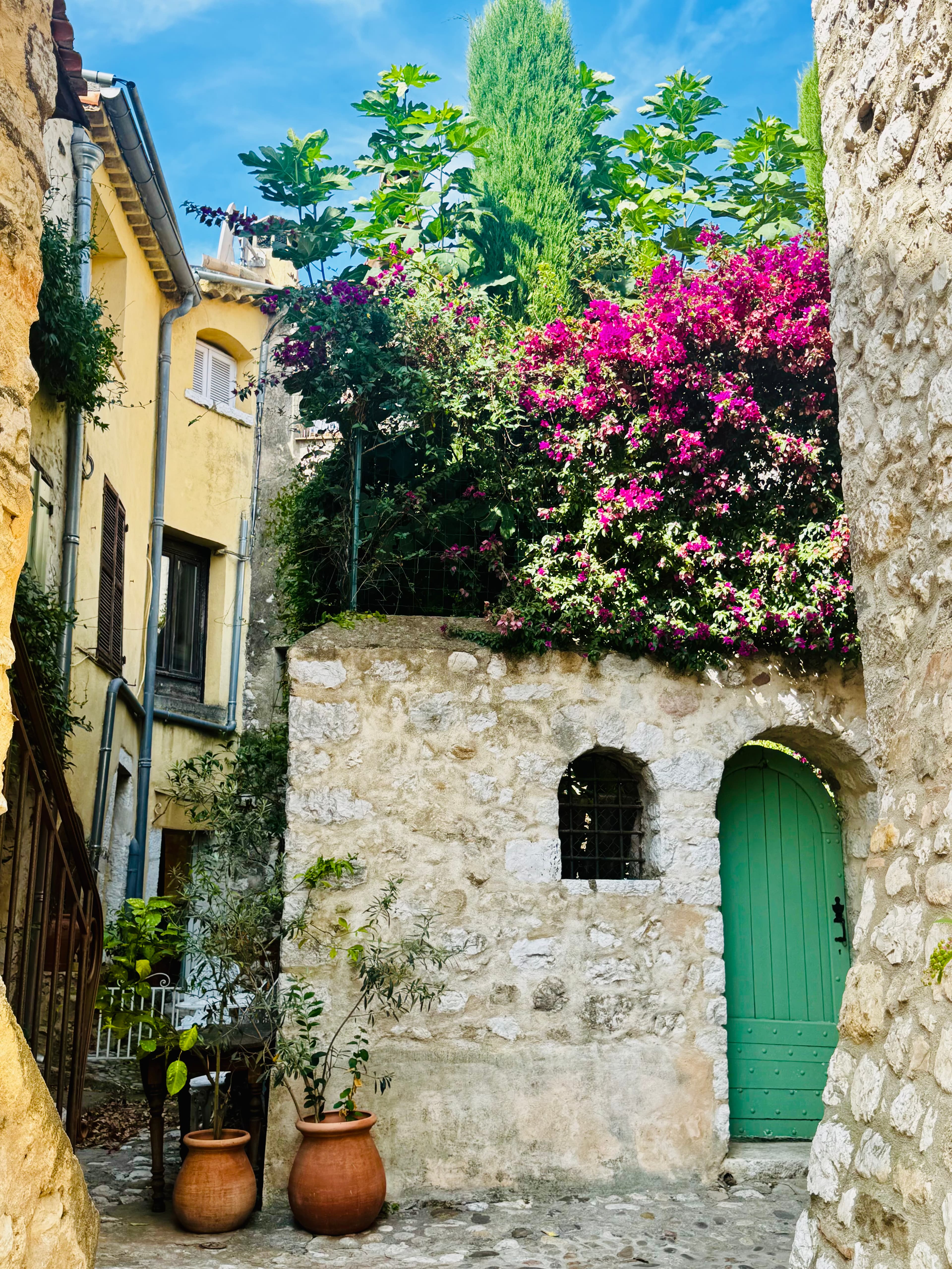 A stone building with an arched green door and bougainvillea in a village alley
